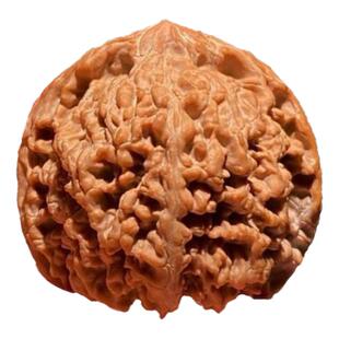 文玩麻核桃满天星狮子头手把件天然野外生随身盘精品红皮老树密纹