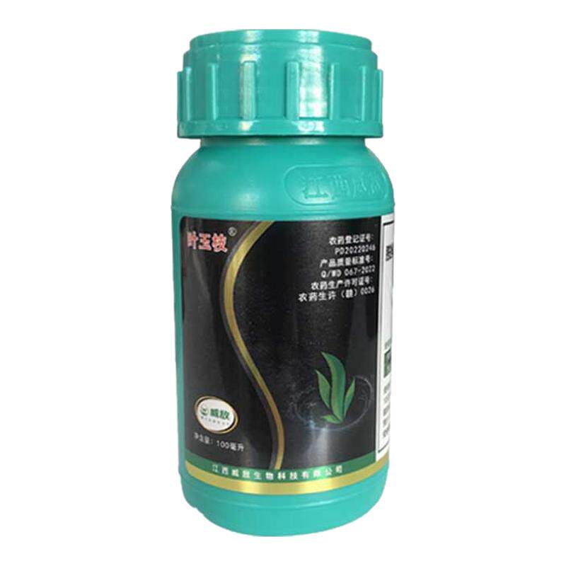 叶玉枝白菜专用生长调节剂