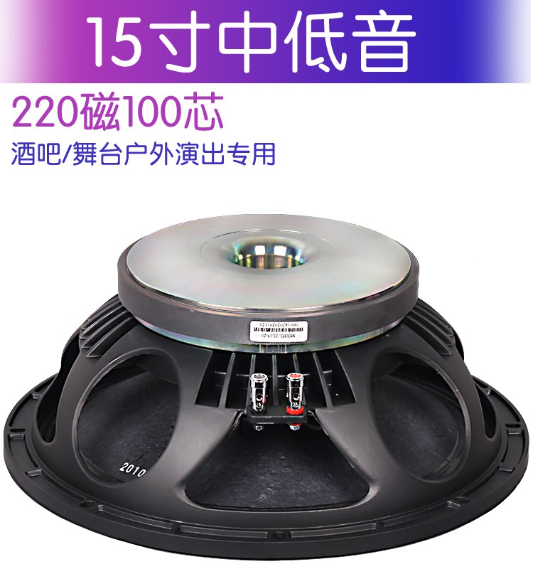 爱朗士专业低音喇叭中低音全频220磁100芯大功率布边KTV舞台音箱