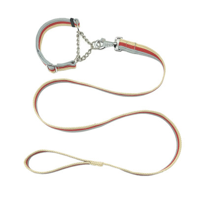 金毛小中大型犬牵引绳项圈