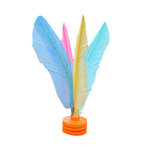 毽子儿童小学生幼儿园腱子耐踢运动专用成人2025新款羽毛鸡毛毽子