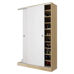 鞋柜收纳柜一体靠墙入户高柜超大容量鞋柜门口储物可定制玄关柜子