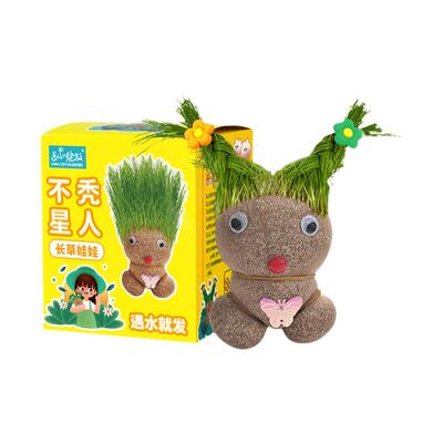 IAM园艺草头娃娃创意小盆栽