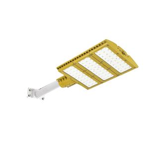 LED防爆路灯 加油站防爆路灯头100w200w加气站化工工厂油库照明灯