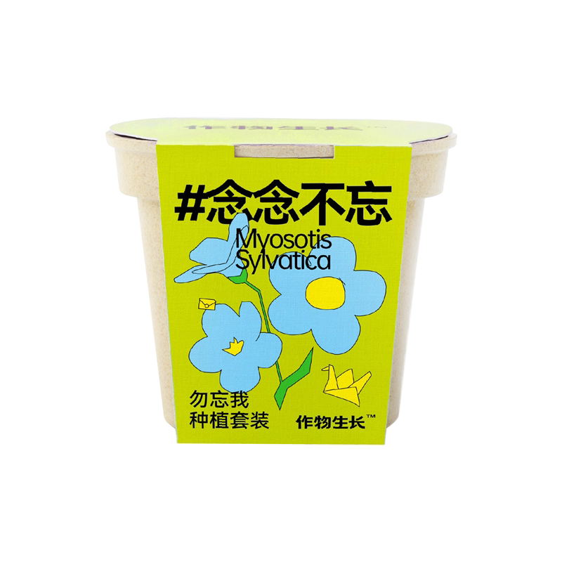 勿忘我盆栽花卉种植套装