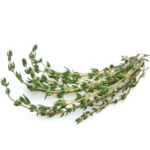 新鲜百里香100g 西餐煎牛排香料调料配菜麝香草山胡椒 满5件包邮