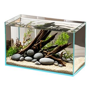 超白玻璃鱼缸客厅2025新款生态溪流乌龟缸斗金鱼小型桌面水草造景
