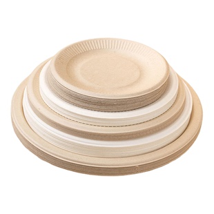 一次性餐盘盘子餐具蔗浆食品级碗筷碟加厚可降解画画烧烤家用纸盘