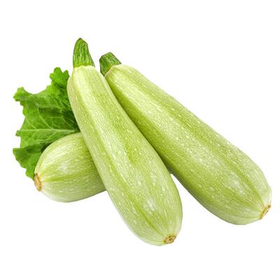 耐寒性美国西葫芦种子