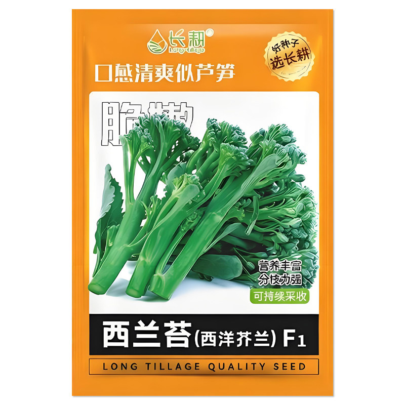 长耕西兰苔种子西洋芥蓝种籽