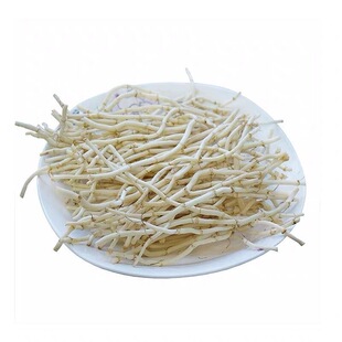 农家折耳根新鲜鱼腥草猪鼻孔当季野蔬菜嫩芽嫩根凉拌下饭菜时令