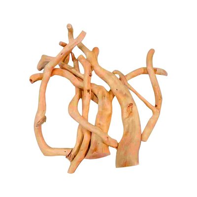 天然杜鹃根枝条草缸南美鱼缸造景装饰树枝沉木树桩晒台已煮小栖根