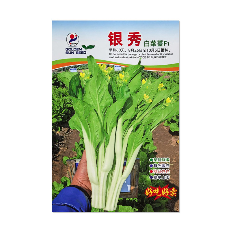金阳红银秀白菜苔种子