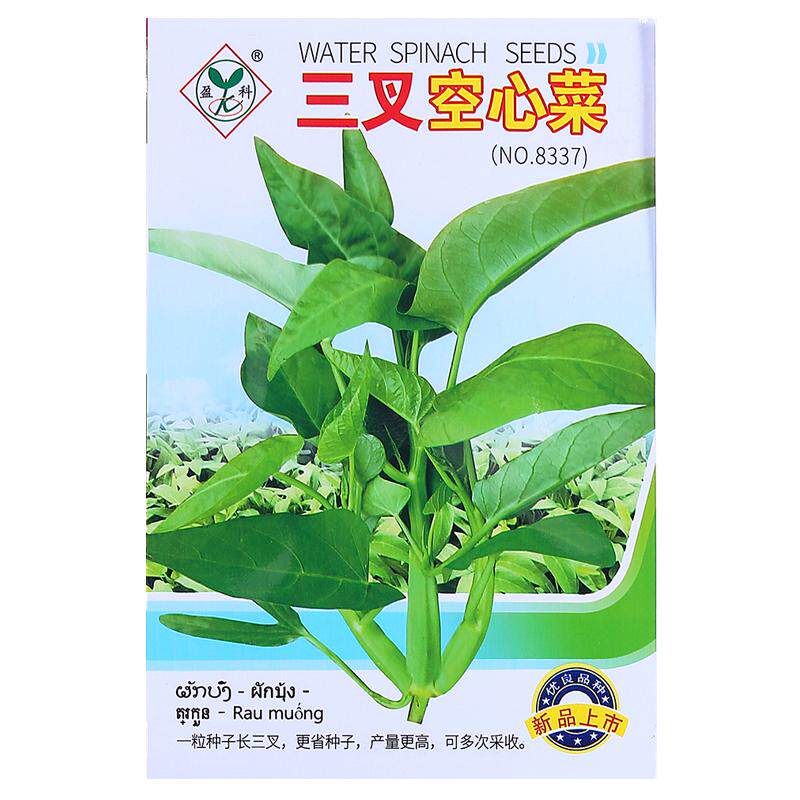 四季竹叶柳叶白梗三叉空心菜种籽大全蔬菜种子春秋季盆栽速生青菜