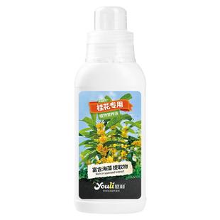 悠利桂花树营养液肥料专用肥金桂银桂四季桂家用盆栽通用养花花卉