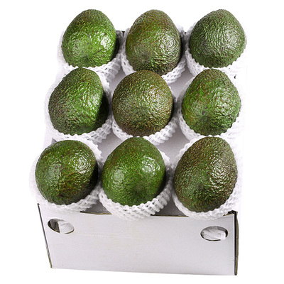 甄选A+墨西哥牛油果15枚∣坏必赔