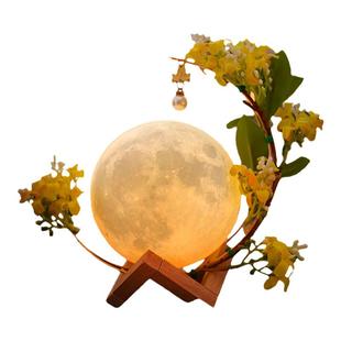 春节挂件氛围月亮灯摆件新年灯笼手工diy制作材料包儿童手提花灯