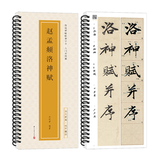 赵孟頫洛神赋传世碑帖临摹字卡入门对照版行书毛笔字帖全文视频逐字精讲赵体基础教程练字帖成人初学者近距离临摹放大版书法原帖
