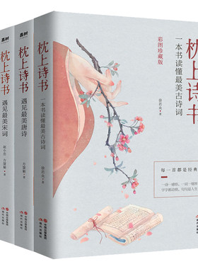枕上诗书系列全4册正版 枕上诗书+遇见美宋词+遇见美唐诗+他们有才亦有爱 一诗一词一故事诗词歌赋古诗词畅销书李清照苏东坡经典