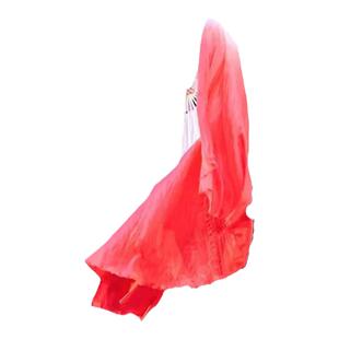 流年舞蹈扇子胶州秧歌扇子中国风古典舞艺考剧目真丝舞蹈扇子道具