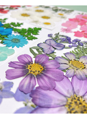 干花压花手工diy材料包