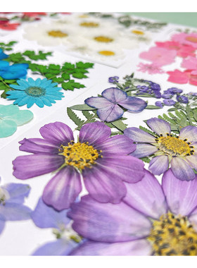 干花压花手工diy材料包