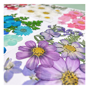 干花押花 植物标本滴胶手机壳儿童幼儿园教学书签贴画DIY材料包