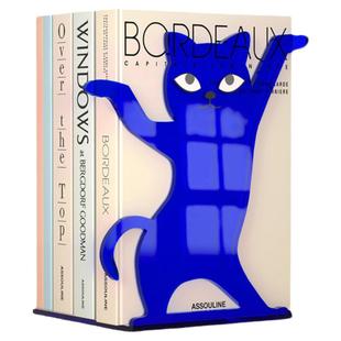 跳舞的猫亚克力L型彩色书立架定制个性透明书本桌面收纳挡板书架