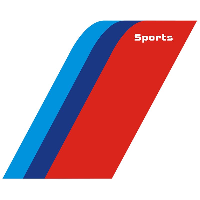 轮眉车sport叶子板刮条装饰贴