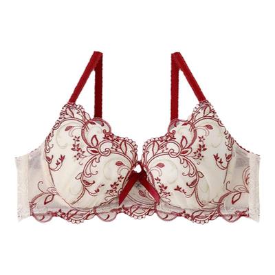 risamagli钢圈棉聚拢刺绣文胸