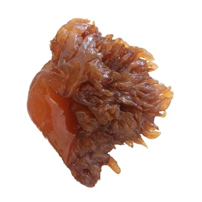 野生海哲凉拌菜海蜇头桶装5斤