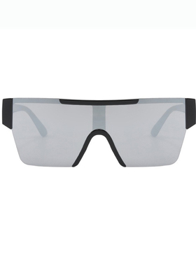 户外登山骑行滑雪大框显瘦太阳镜