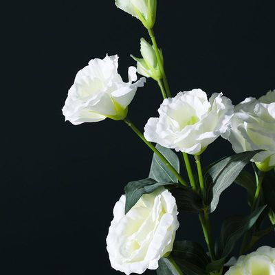 北欧风洋桔梗花仿真花居家装饰妇女节礼物38花艺餐桌节客厅女神