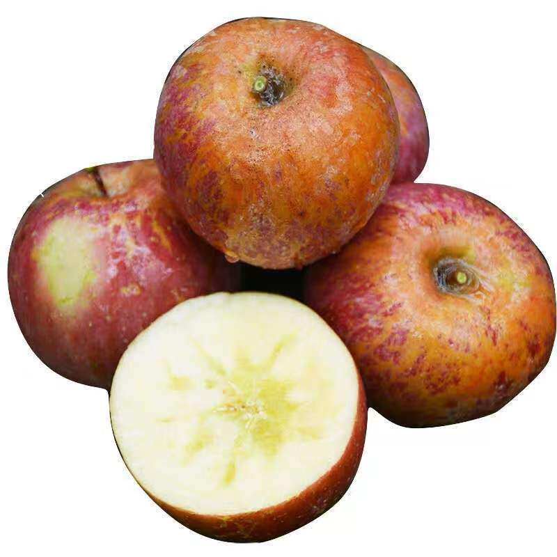 正宗25年新果云南昭通冰糖心丑苹果当季水果现摘脆甜野生富士苹果