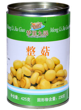 老式出口蘑菇罐头425g*4罐熟食