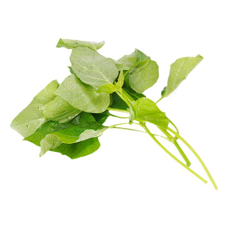 新鲜绿线叶血通菜500g