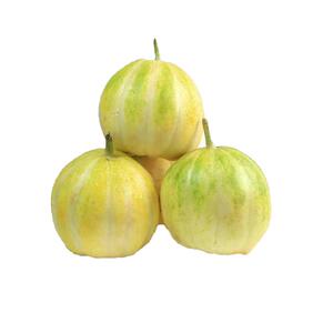 黑龙江头茬香瓜现摘现发包邮