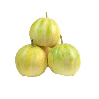 黑龙江头茬香瓜现摘现发包邮