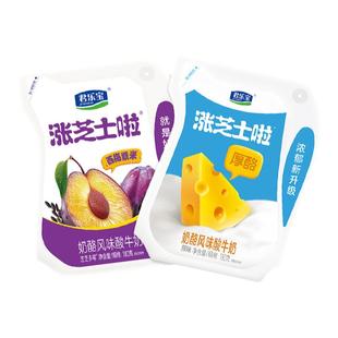 君乐宝涨芝士啦酸奶180g*10袋奶酪风味发酵酸奶袋