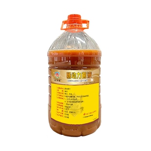 粤晋然肠动力菌液丁酸梭菌水产养殖鱼虾蟹促吸收提高吃料厂家直销