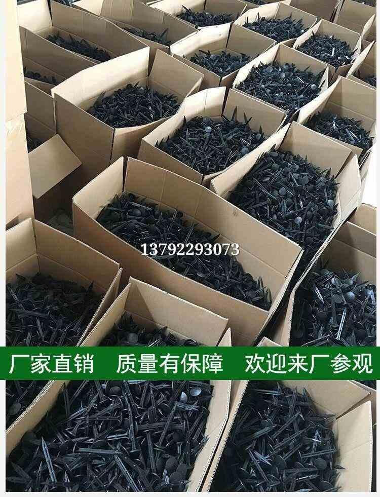 现货速发新品品销塑料地钉加粗加长果园艺地布钉拉枝固定大棚地膜