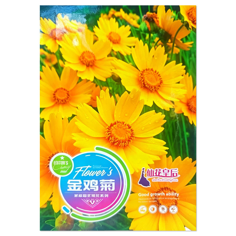 金鸡菊种子多年生花卉种籽