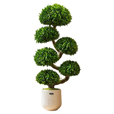 造型金钱榕客厅大型绿植大盆栽植物办公室内落地式旺宅树乔迁开业
