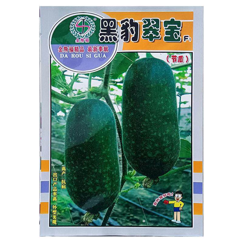 黑豹翠宝小节瓜种子孑籽杂交高产