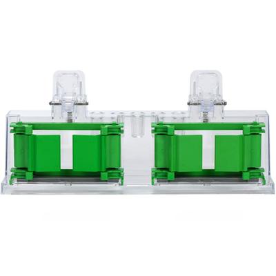 百达康生物电泳槽配件