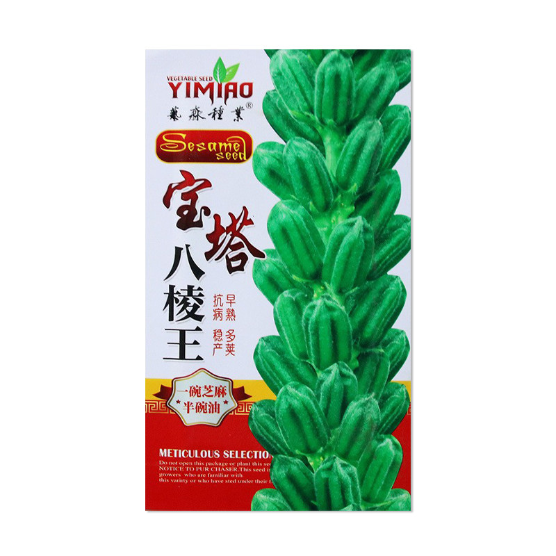 艺淼宝塔八棱王白芝麻种子