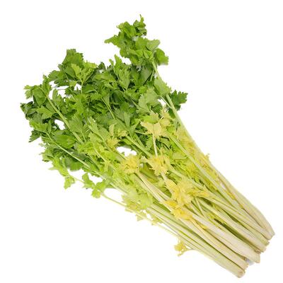 新鲜马家沟芹菜芯山东凉拌食用