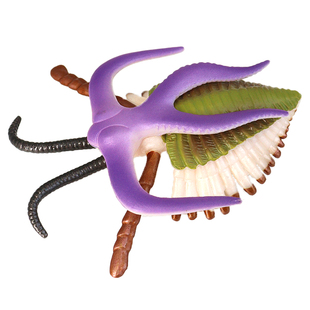 仿真寒武纪远古生物鹦鹉螺三叶虫菊石模型卡皮虫玩具塑胶儿童科教