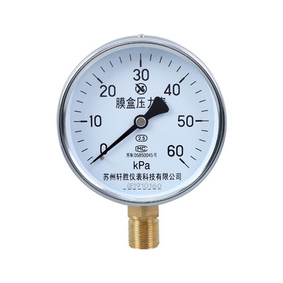 YE100膜盒微压压力表