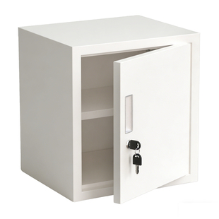 小型单门文件柜食品添加剂专用柜不锈钢双锁密码食品厂储物箱带锁